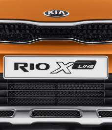 Захисна сітка радіатора RIO  X-Line